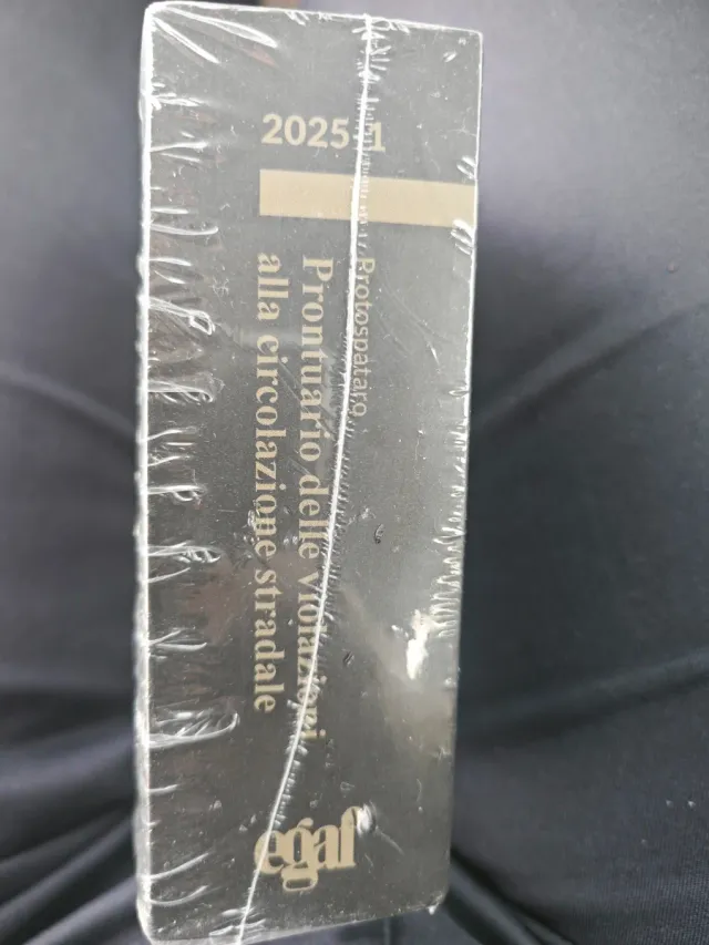 Egaf 2025 Prontuario violazioni CDS