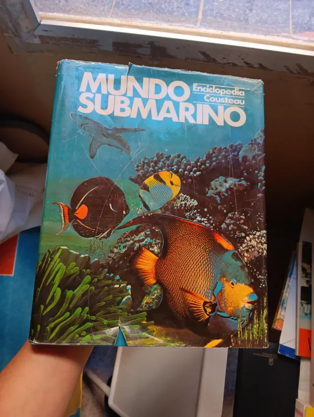 Mundo submarino y El calipso