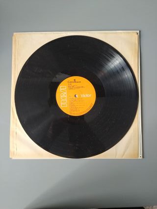 Vinilo Nuestra Tierra