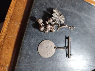 Broche Racimo Uvas Hoja Plata