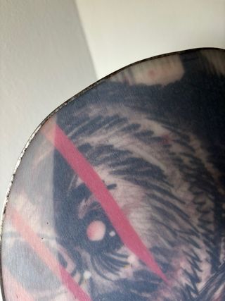 Snowboard Rossignol Angus + fijaciones + bolsa