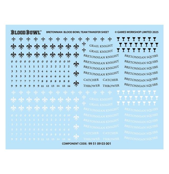 Equipo Oficial Bretonnian: Brionne Barons