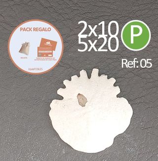 Fósil Clypeaster JoyasFOSILES Ref: 05