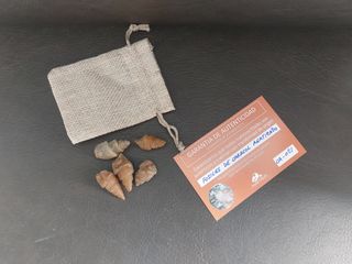 5 Fósiles Caracol Agatizado
