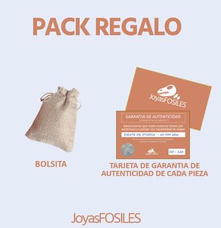 5 Fósiles Caracol Agatizado