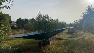 Paraguas recolector aceitunas