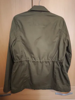 Chaqueta Springfield verde