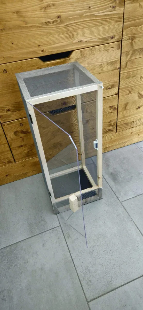 Gabbia Terrario insetti stecco rettili 60cm RETE