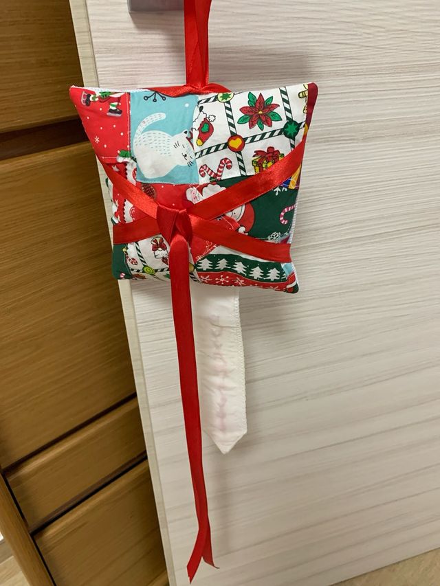 Fuori porta natalizio con gnomi