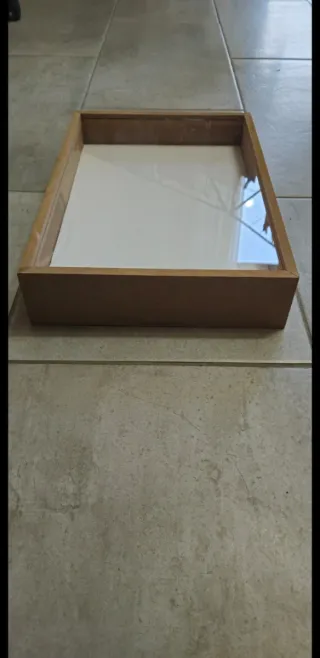 Scatola entomologica per collezione insetti