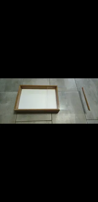 Scatola entomologica per collezione insetti