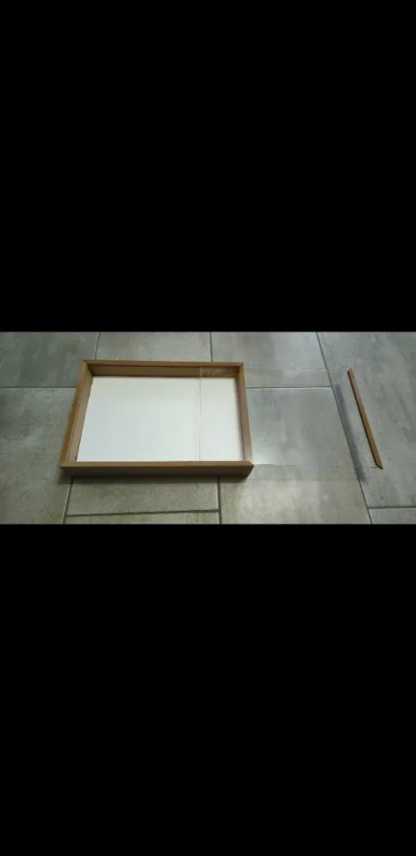 Scatola entomologica per collezione insetti