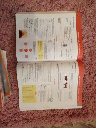 Lengua castellana y Literatura 2 ESO LOMLOE