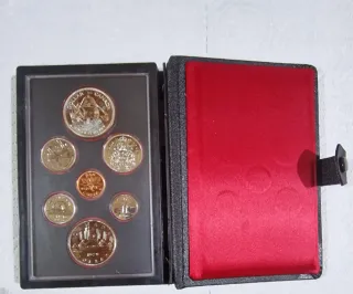 Vendo una spettacolare custodia per monete canadesi