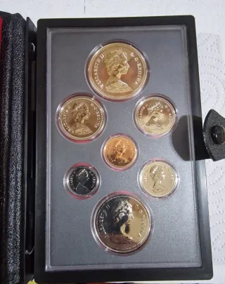 Vendo una spettacolare custodia per monete canadesi