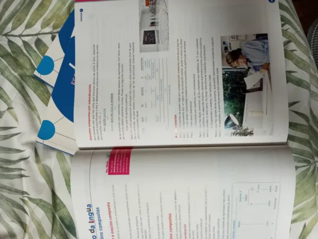 Lingua galega e literatura