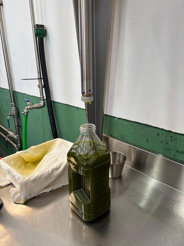 Aceite verde sin filtrar