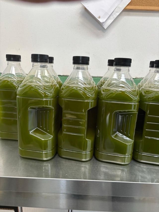 Aceite verde sin filtrar