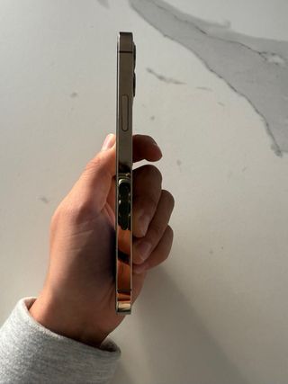 iPhone 12 Pro Oro/Plata
