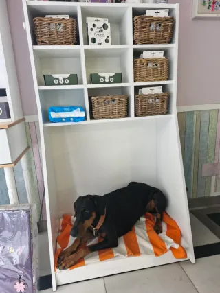 Mueble organizador artesanal para perro