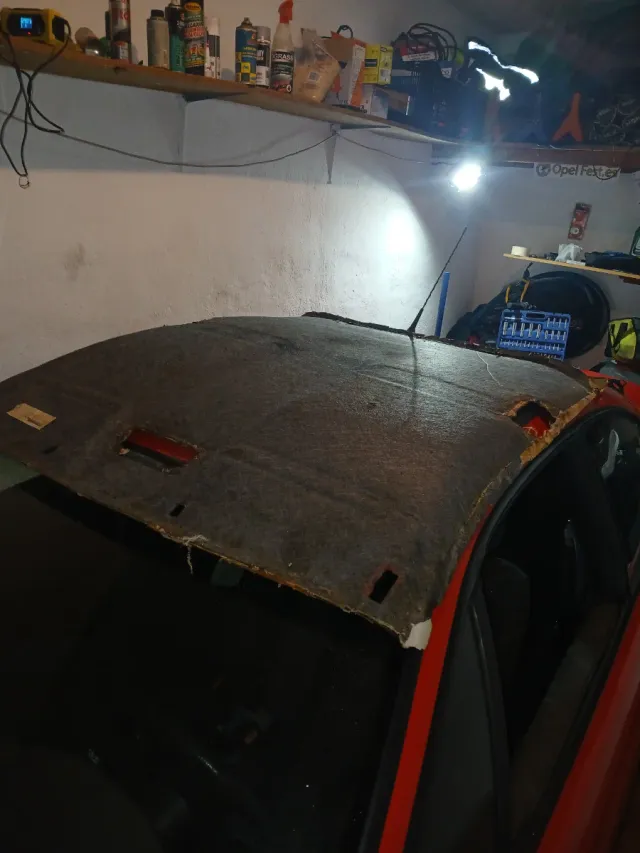 Tapizado Techo Calibra