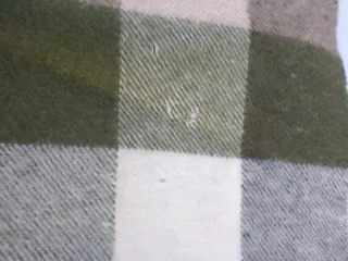 Bufanda Barbour cuadros beige y verde