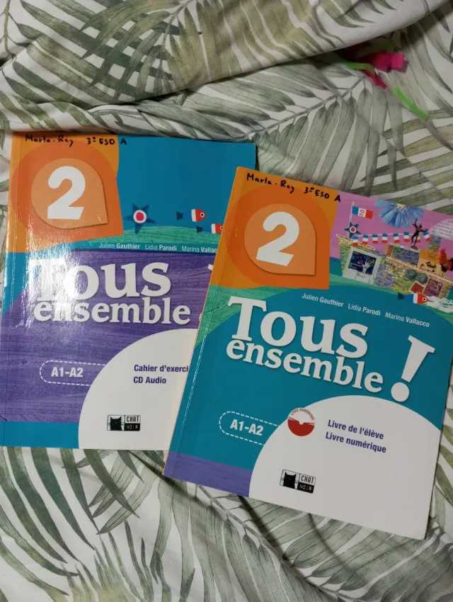 TOUS ENSEMBLE 2 LIVRE DE L'ELEVE + DVD-ROM