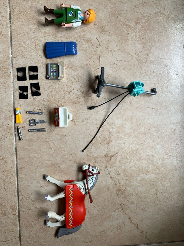 Playmobil Veterinario con Accesorios