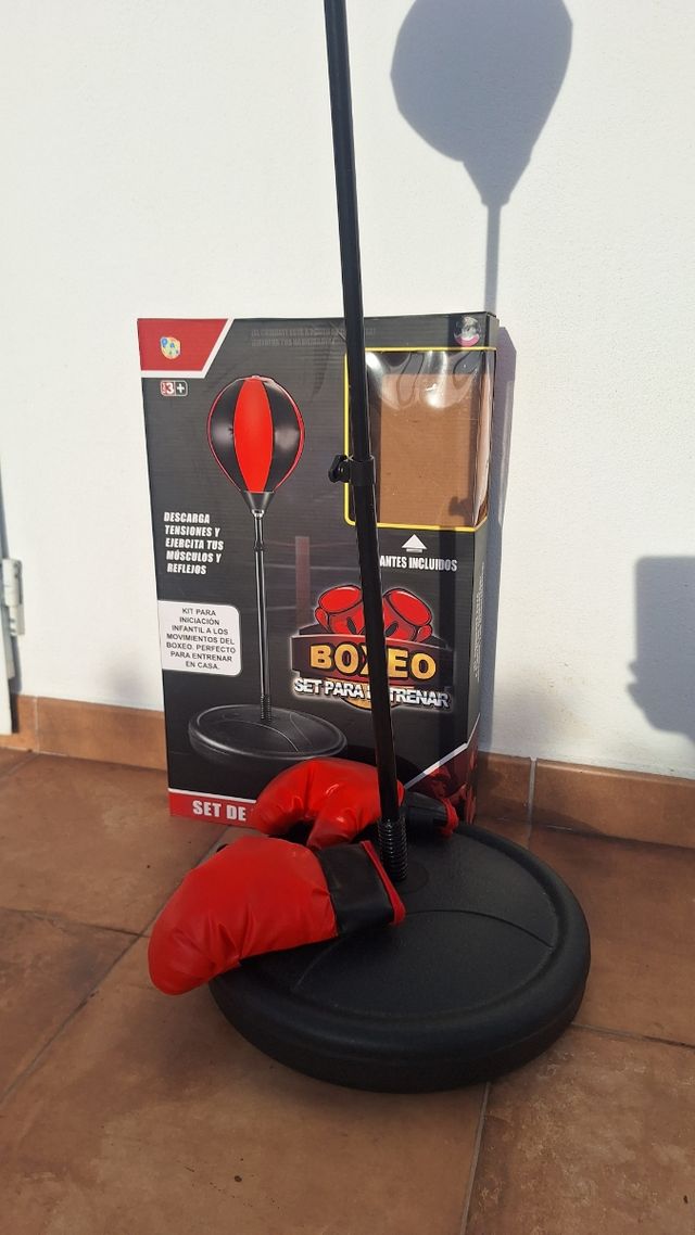 Set de Boxeo Infantil con Guantes