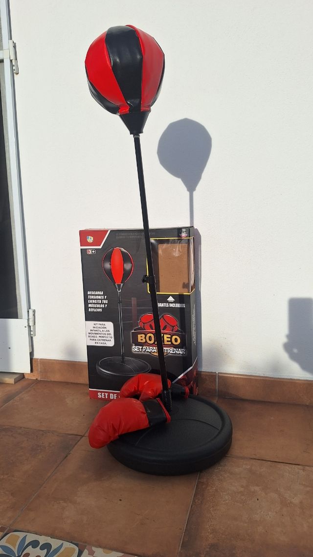 Set de Boxeo Infantil con Guantes