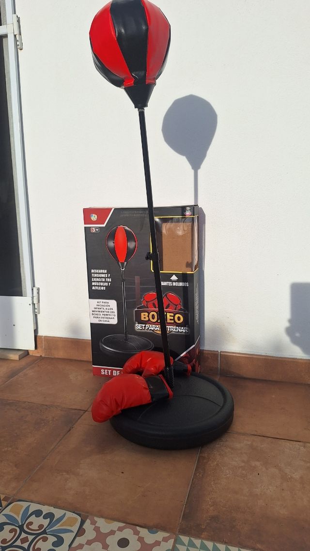 Set de Boxeo Infantil con Guantes