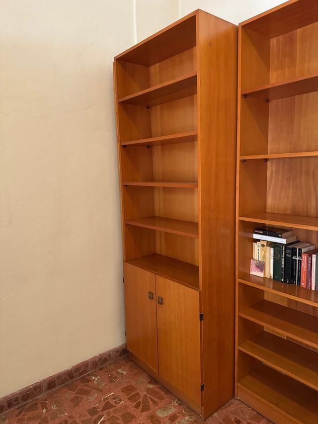 Conjunto Muebles Madera: Librería y Armario