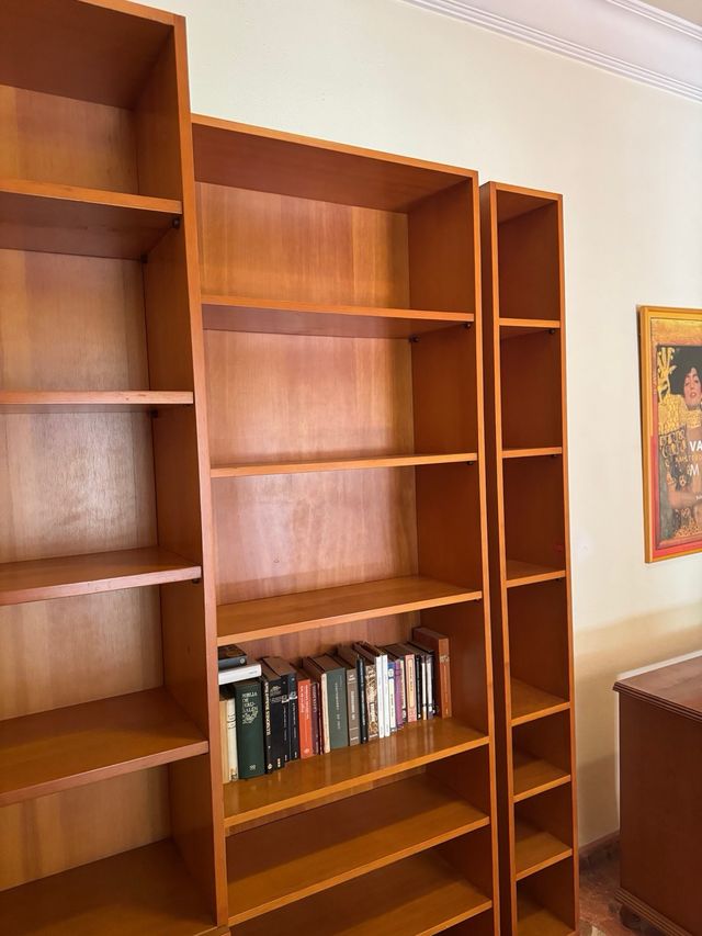 Conjunto Muebles Madera: Librería y Armario