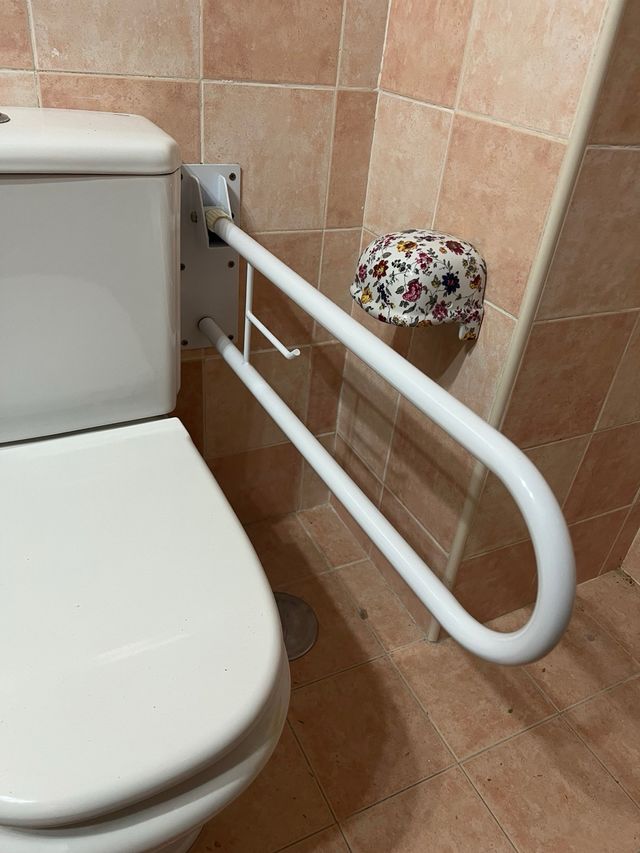 Barra de apoyo en WC