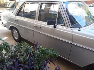 Mercedes-Benz Mercedes Benz se250 1973