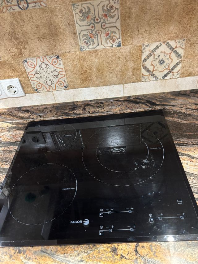 Placa vitrocerámica Fagor