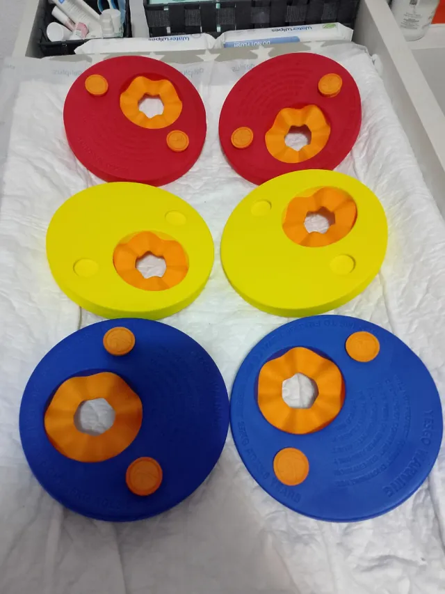 Manguitos natación disco niños 6 uds