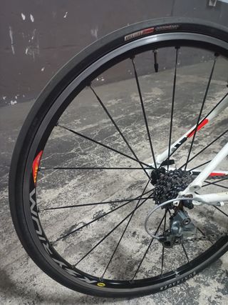 DESCUENTO 10% Bicicleta híbrida Trek FX 2