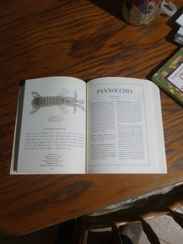 Il pesce povero. Ricchezza in cucina. 