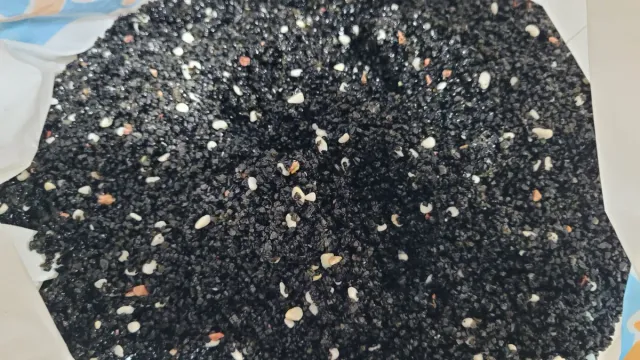 Kit Acuario Accesorios y Decoración