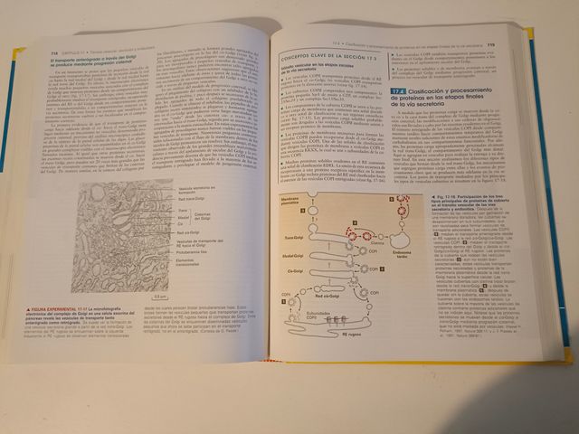 Biología celular y molecular