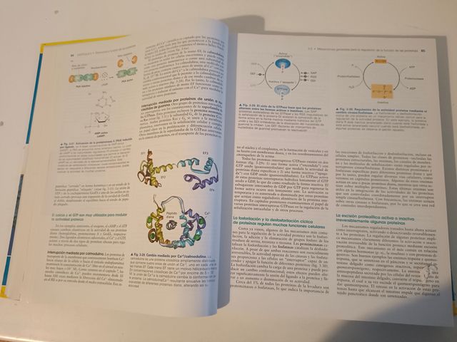 Biología celular y molecular