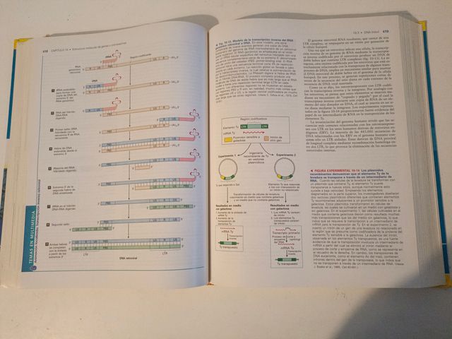Biología celular y molecular