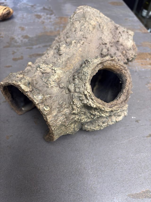 Accesorios terrario: Tronco, piedra y cueva