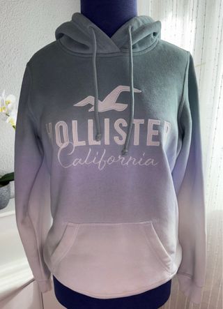 Sudadera Hollister