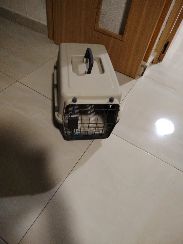 Transportín para mascotas beige y verde oscuro