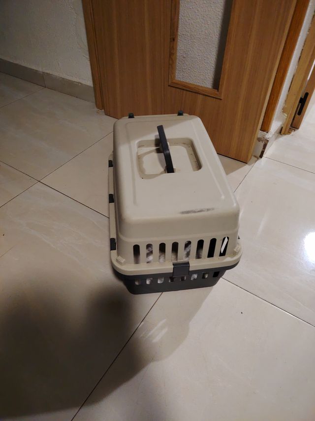 Transportín para mascotas beige y verde oscuro