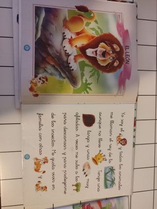 Los dragones, los animales, la selva.