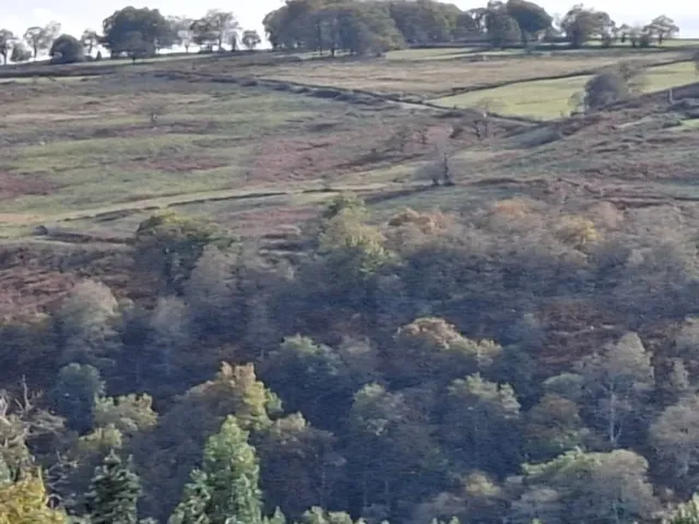 Finca Rústica de 1.ha con Escrituras