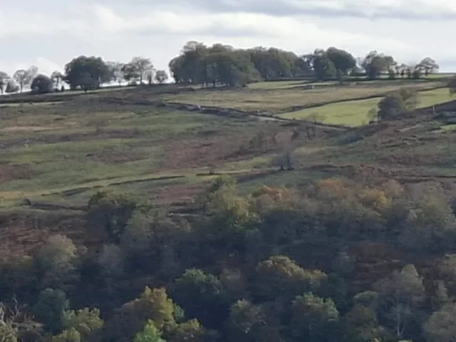Finca Rústica de 1.ha con Escrituras